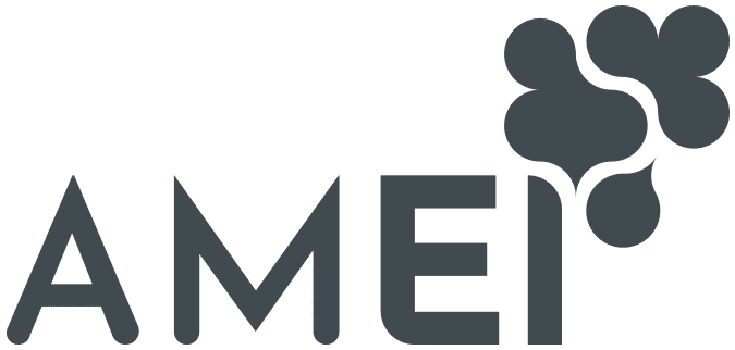 Asociación Madrileña de Empresas de Inserción. AMEI