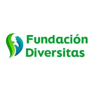 Logo FDiversitas 1